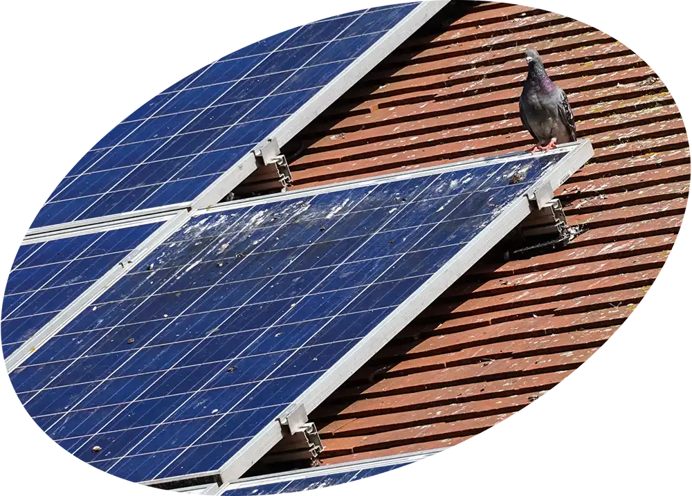 Effective solar panel bird and rodent proofing